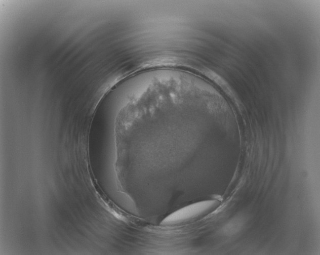 X0000064741337200602241742