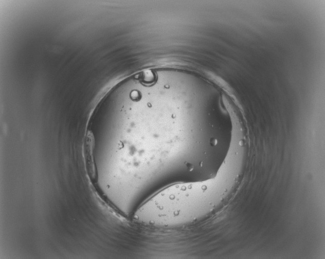 X0000064741338200602241742