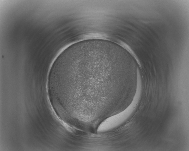 X0000064741339200602241742