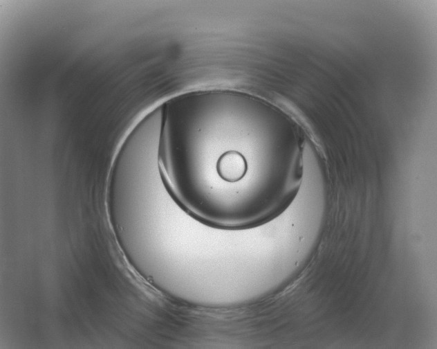 X0000064741340200602241742