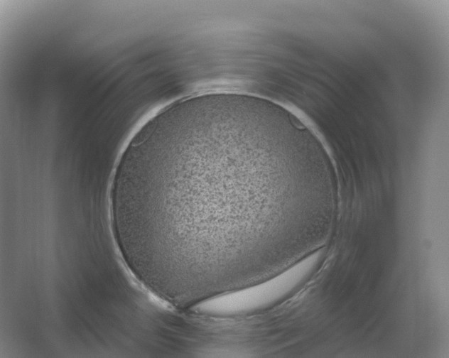 X0000064741341200602241742