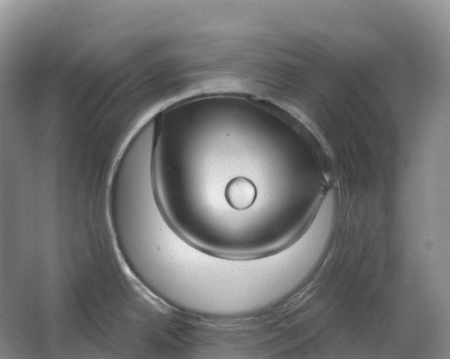 X0000064741342200602241742