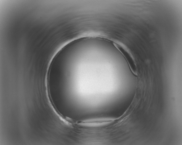 X0000064741343200602241742