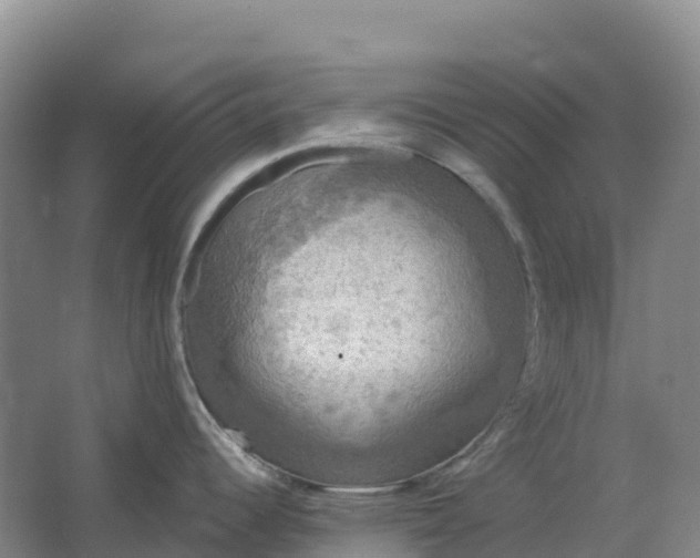 X0000064741344200602241742