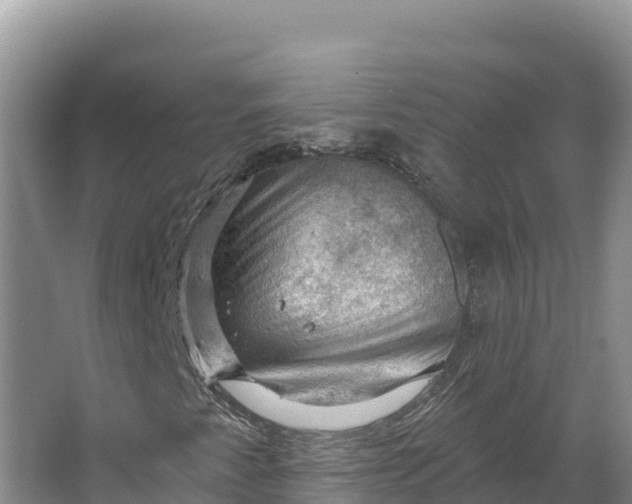 X0000064741345200602241741