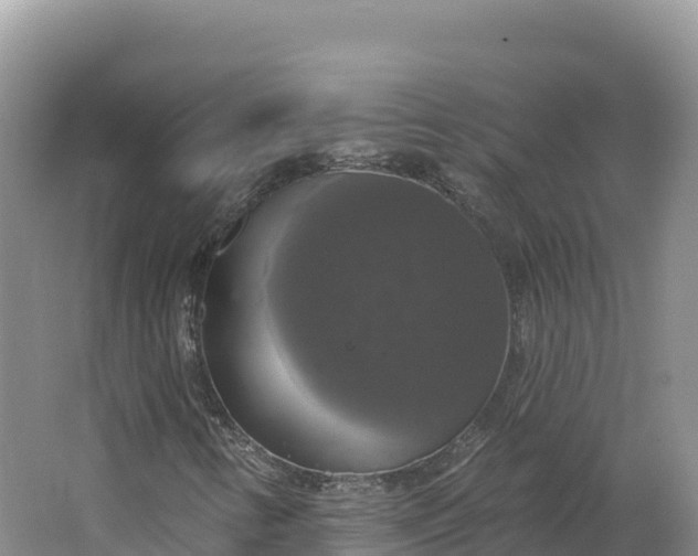 X0000064741346200602241741