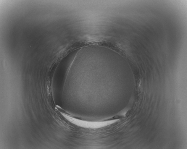 X0000064741348200602241741