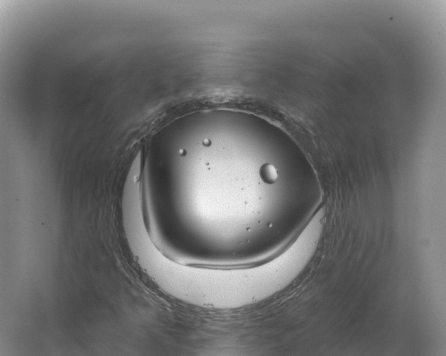 X0000064741349200602241741