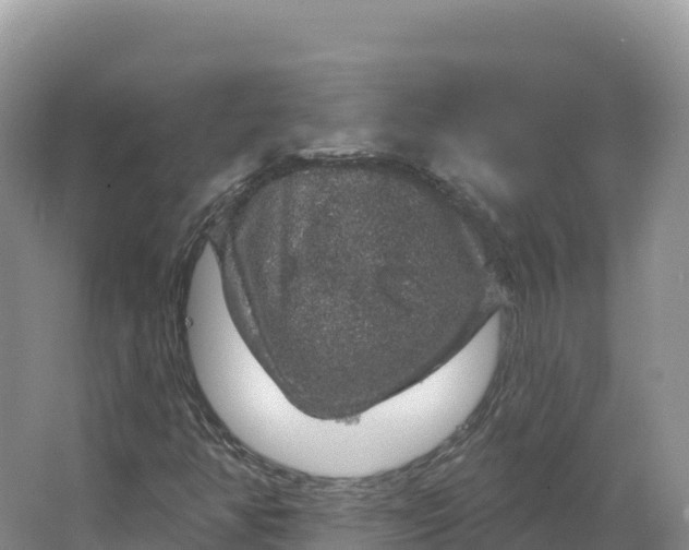 X0000064741350200602241741