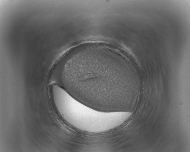 X0000064741352200602241741