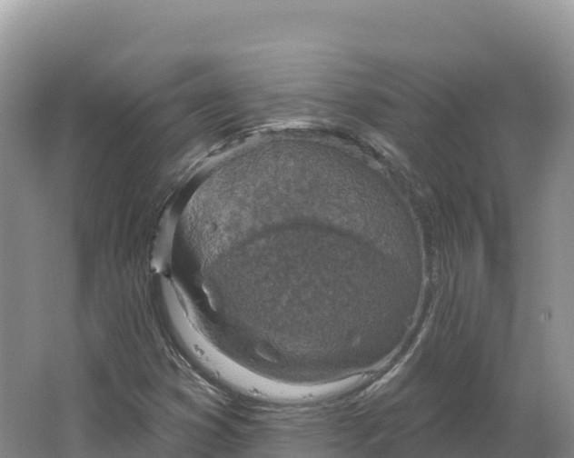 X0000064741353200602241741