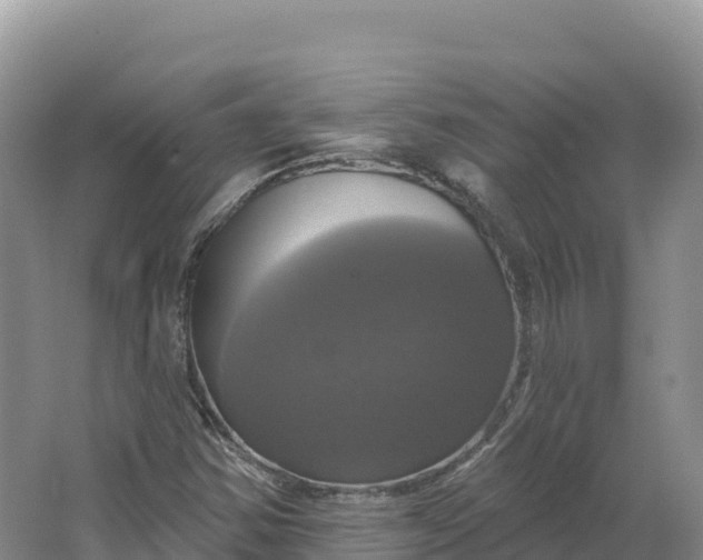 X0000064741354200602241741