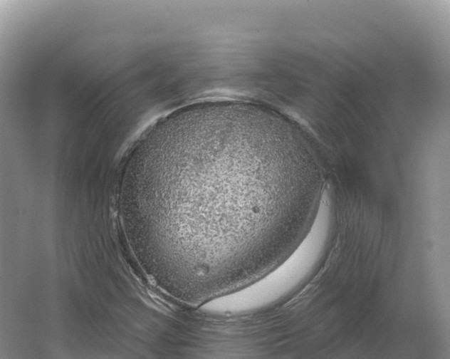 X0000064741355200602241741