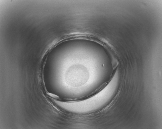 X0000064741357200602241741