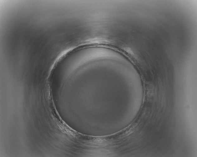 X0000064741358200602241741