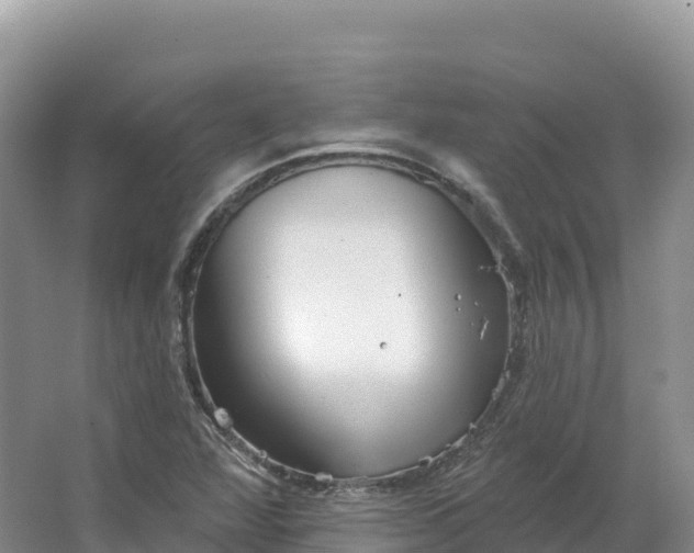 X0000064741360200602241741