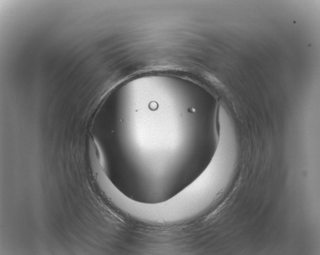 X0000064741361200602241741