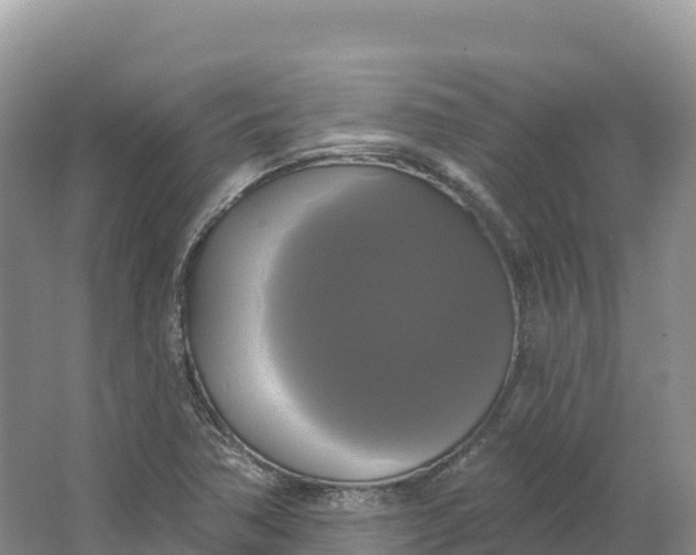 X0000064741362200602241741