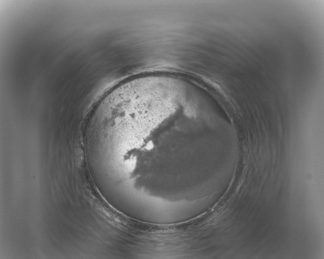 X0000064741363200602241741