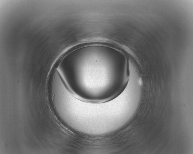 X0000064741364200602241741