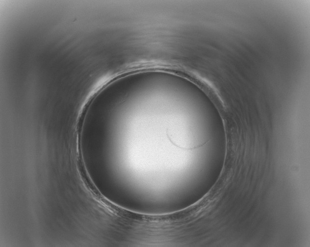 X0000064741365200602241741