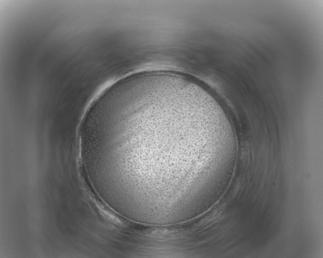 X0000064741366200602241741