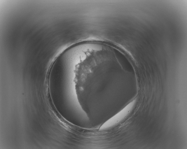 X0000064741367200602241741