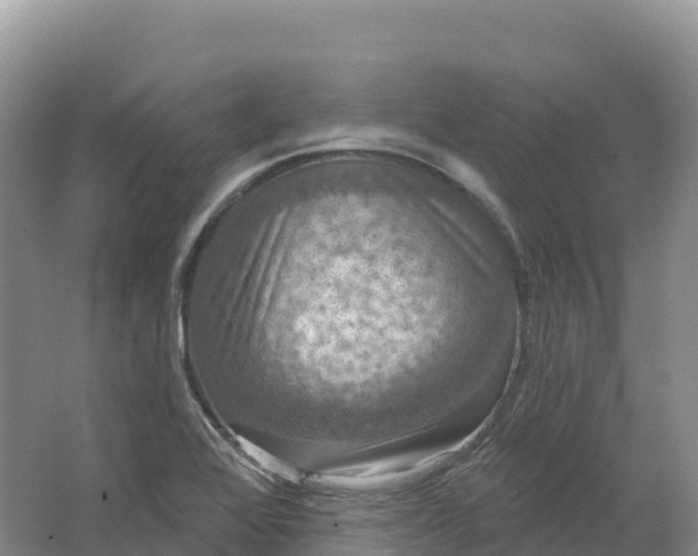 X0000064741368200602241741