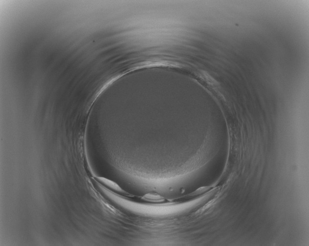 X0000064741369200602241741