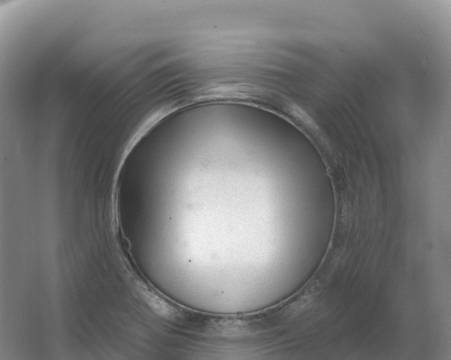 X0000064741370200602241741