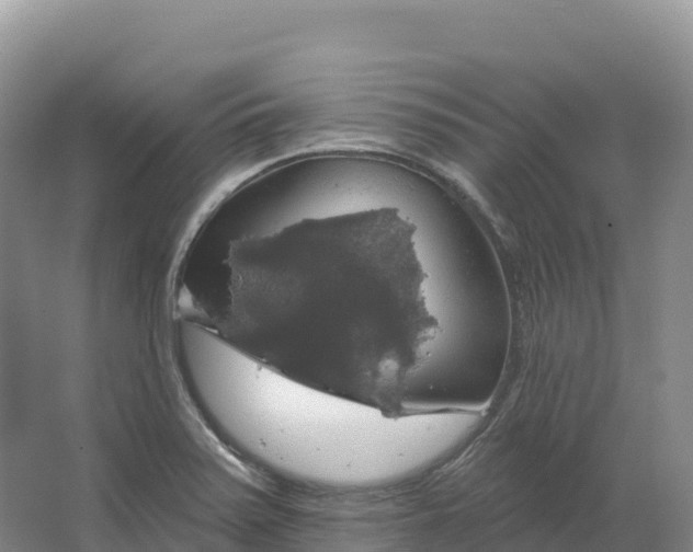 X0000064741371200602241740