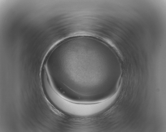 X0000064741372200602241740