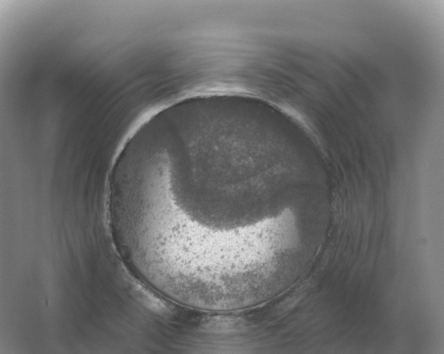 X0000064741374200602241740