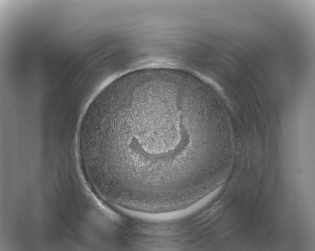 X0000064741375200602241740