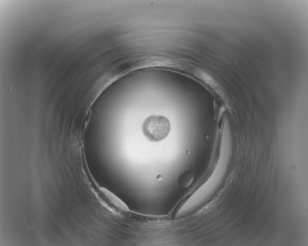 X0000064741377200602241740