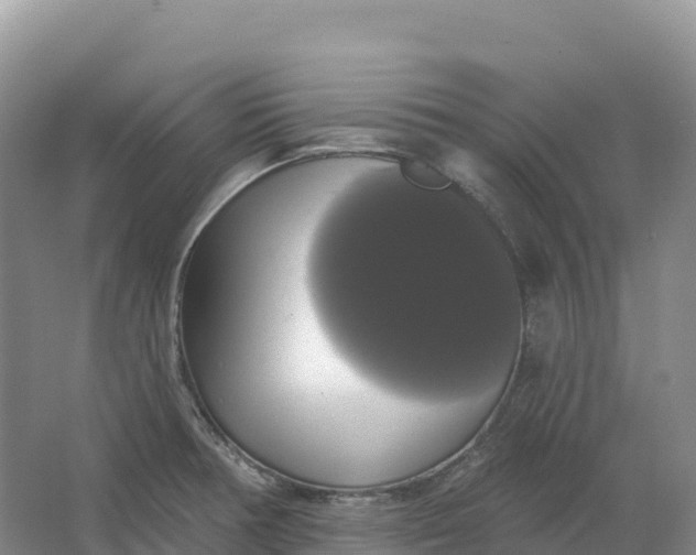 X0000064741378200602241740