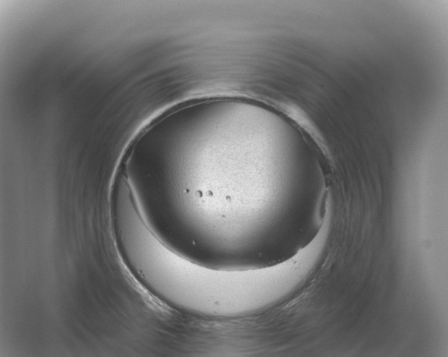 X0000064741380200602241740