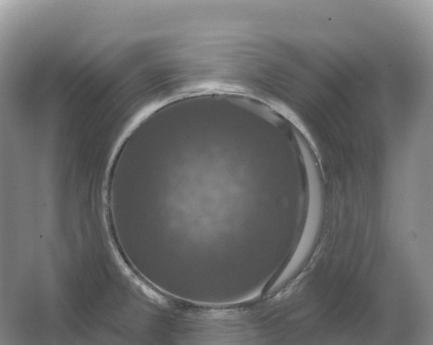 X0000064741381200602241740