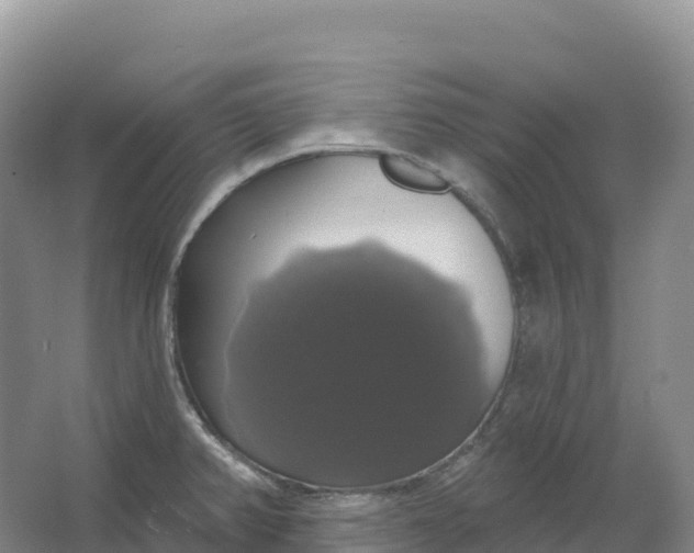 X0000064741382200602241740