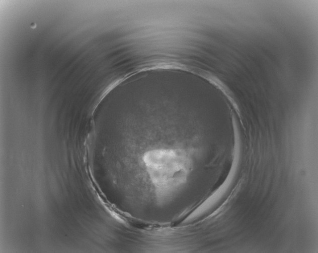 X0000064741385200602241740