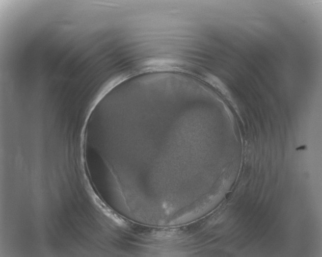 X0000064741386200602241740