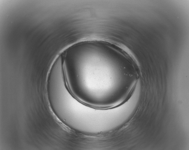 X0000064741388200602241740