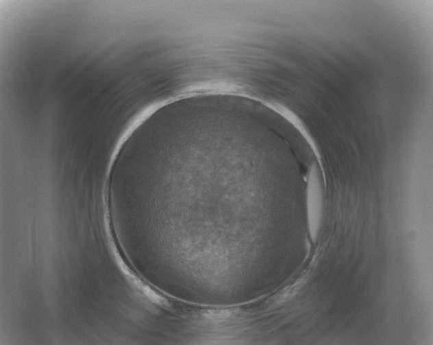 X0000064741389200602241740