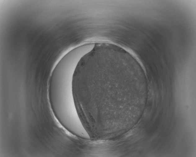 X0000064741390200602241740