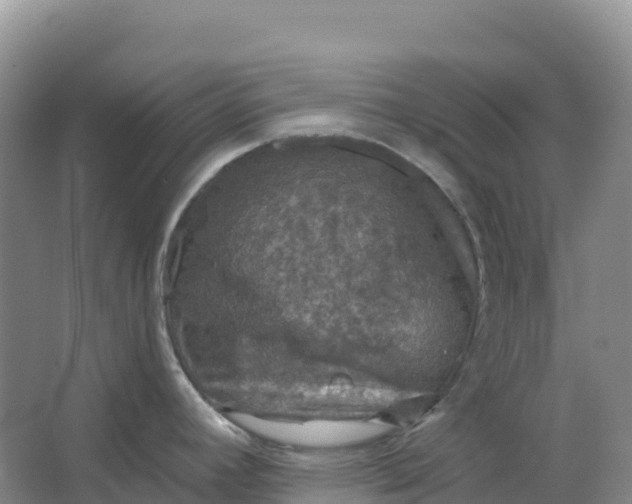 X0000064741392200602241740