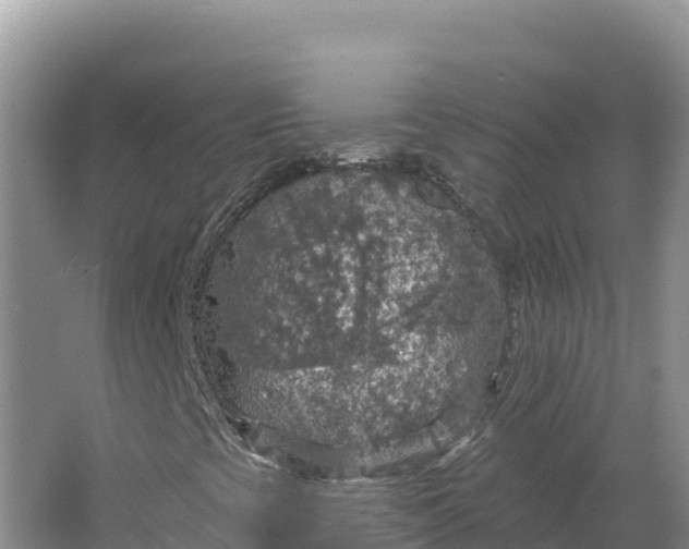 X0000064741393200602241739