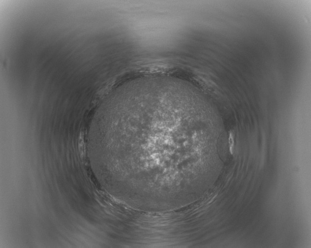 X0000064741395200602241739