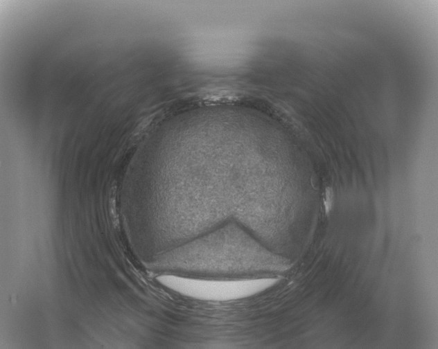 X0000064741396200602241739