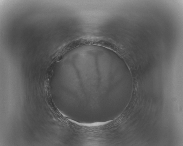 X0000064741397200602241739