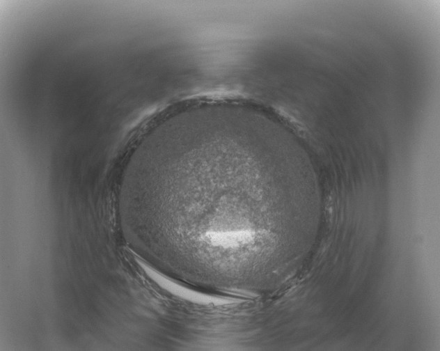 X0000064741398200602241739